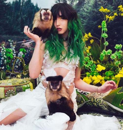 Животные, спасенные от браконьеров. 05