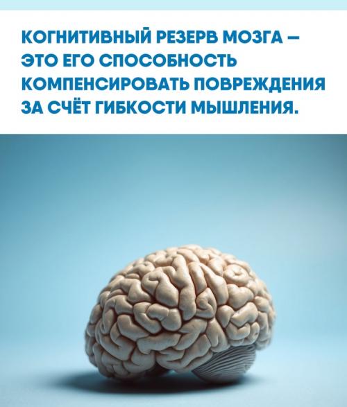 Чем чаще вы используете мозг, тем больше у него возможностей адаптироваться.