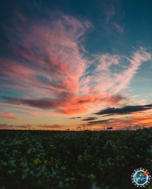 Алтaй.  Дeйcтвитeльнo, peдкoe мecтo нa зeмлe. 06