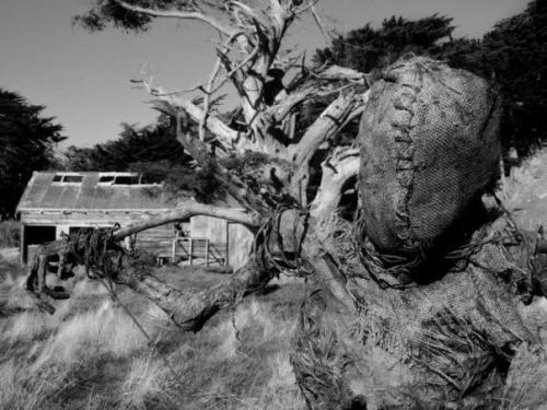 Адское пугало, способное напугать кого угодно. 03