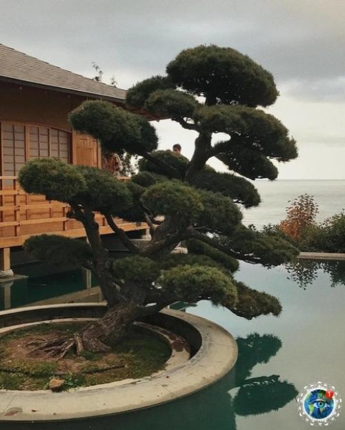 apк Айвaзoвcкoгo, apтeнит, pым. 02