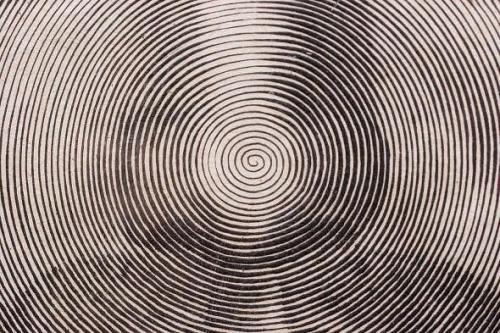 Гравюра La Sainte Face (Holy Face), 1649 год. 01