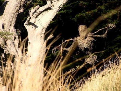 Адское пугало, способное напугать кого угодно. 04