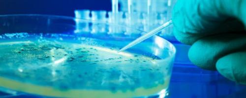 Легионы живых нанороботов научились точно поражать раковую опухоль.