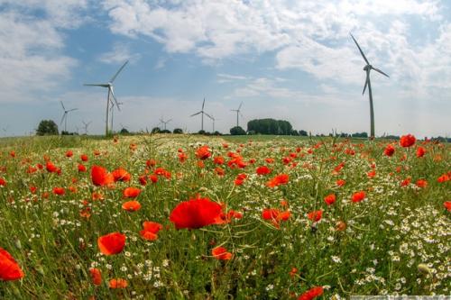 Ветрогенераторы в объективе. 01