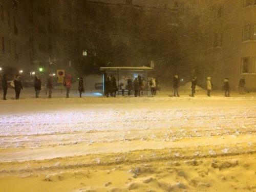 Почему эти люди держат 1 метр расстояния между собой? 

