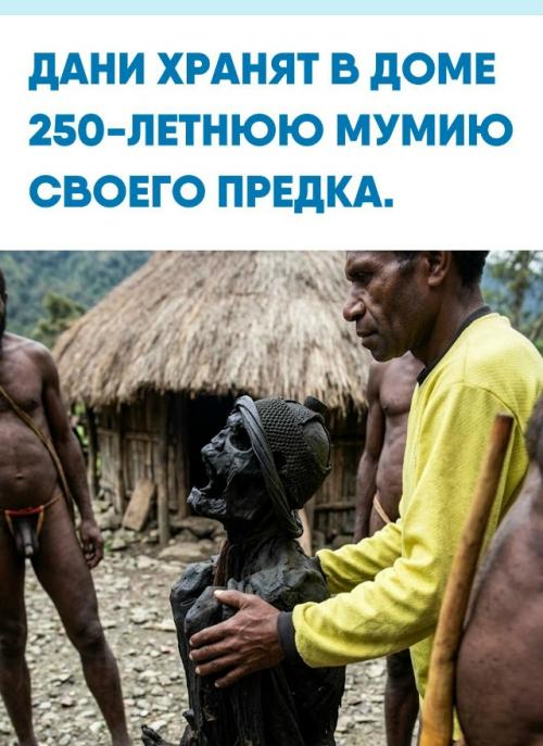 В горах индонезийской Папуа до сих пор бережно сохраняют останки вождя Агата мамете мабеля, умершего, по местной традиции, около 250 лет назад.  