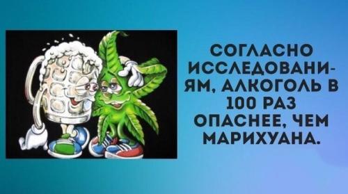 Полезные комнатные растения!