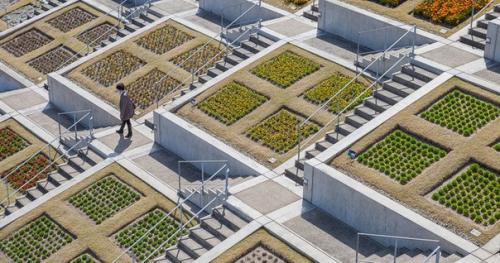 Лестница авадзи.  Лестница авадзи на одноименном японском острове по праву может называться одной из самых необычных в мире. 04