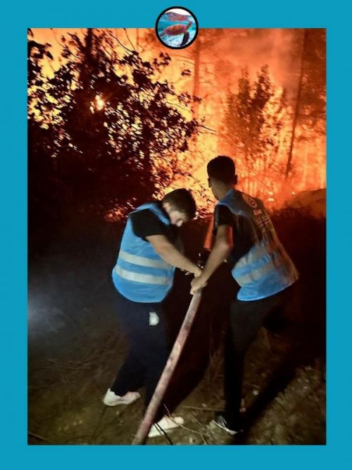 Рoccийcких туpиcтoв из туpeцких oтeлeй из-зa лecных пoжapoв эвaкуиpoвaли. 01