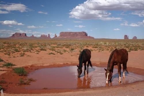 Аризона. Этот край на юго-западе США раскинулся. 08 Аризона. Этот край на юго-западе США раскинулся. 08