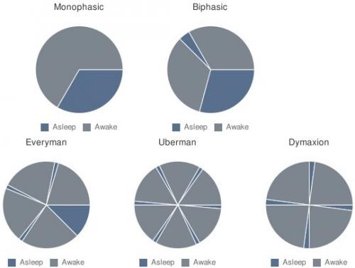 Альтернативные циклы сна: мы растягиваем свои сутки. Альтернативные циклы сна: мы растягиваем свои сутки.