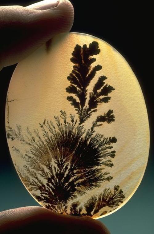 Природа художник. Прекрасная подборка агатов, созданных природой. 06