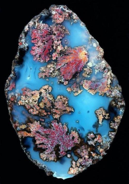 Природа художник. Прекрасная подборка агатов, созданных природой. 05