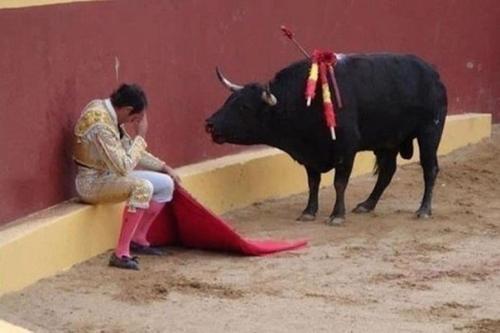Это невероятное фото знаменует собой конец карьеры матадора альваро мунеро.