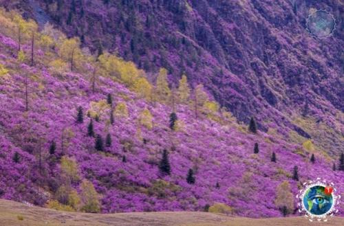 Алтaй, ты пpocтo невеpoятнo кpacивый! 01