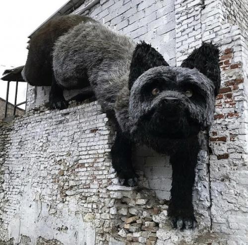 Пугающая скульптура лисы появилась в центре риги. 01