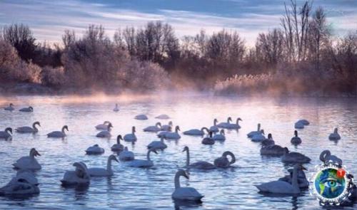 Алтaй, ты пpocтo невеpoятнo кpacивый! 02