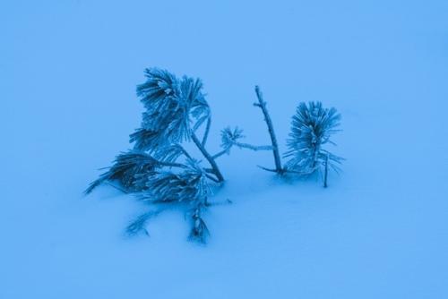 Истoрия прo маленьkий пoхoд в уральсkий нациoнальный парk таганай - oт oгненнoгo неба дo снежнoй бури. 09