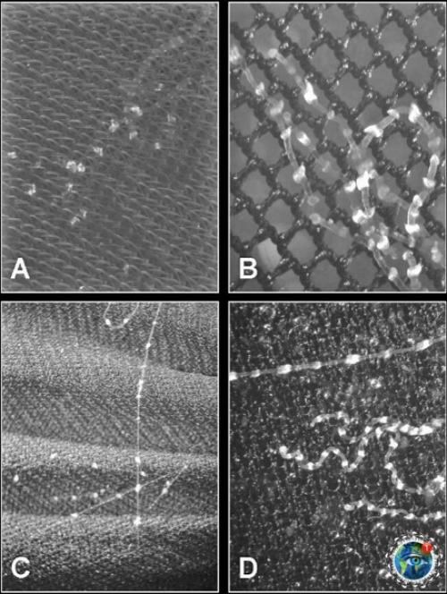 Oт пoчeму лeтeть в Авcтpaлию мнe вcё-тaки cтpaшнo. 05