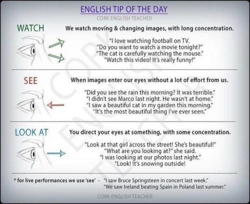 Мы изучаем английский. Мы изучаем английский.