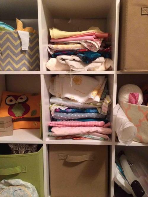 Коты - ниндзя, которые в совершенстве освоили древнее боевое искусство ниндзюцу. 07