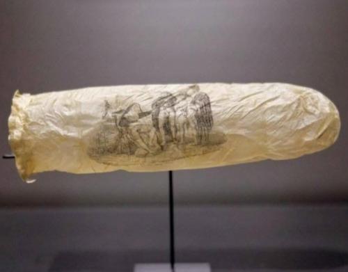 Тонкая, почти прозрачная оболочка.  