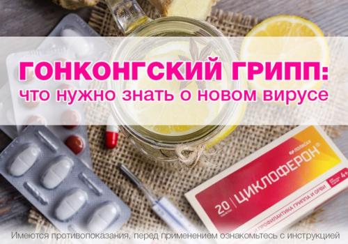 Каждый год нас пугают новым типом вируса гриппа: то птичьим, то свиным, в этот раз - гонконгским.