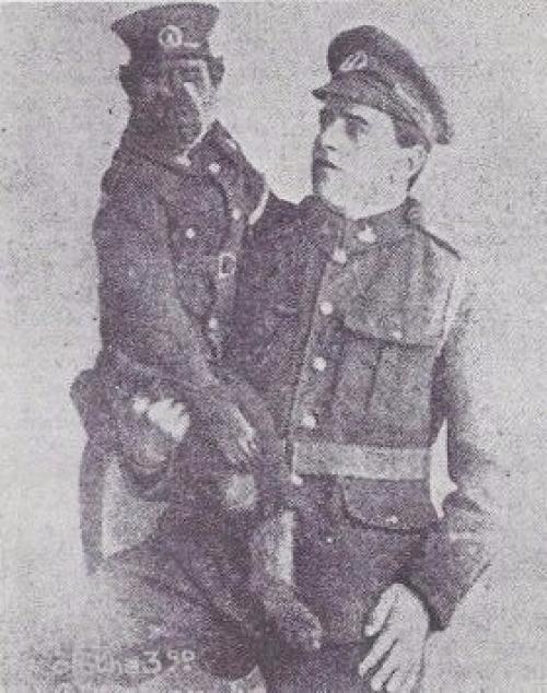 В первой мировой войне принимал участие бабуин по кличке Джеки.