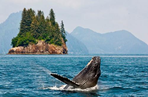 Регионы, в которых доплачивают за проживание.