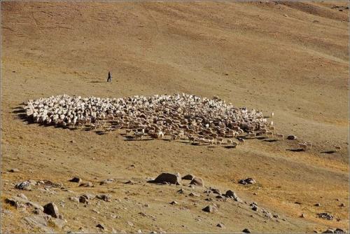Монгун - тайга - горный массив в алтайских горах республики Тува. 02