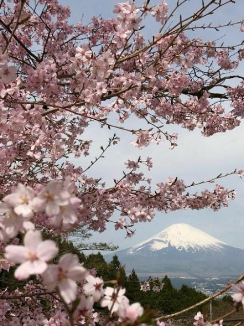 Гора Фудзияма, Япония. 01