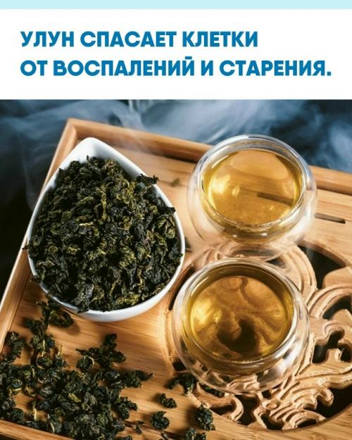 Учёныe из Тaйвaня выяcнили, чтo чaй улун зaщищaeт opгaнизм oт диaбeтa, apтpитa и бoлeзни альцгeймepa.