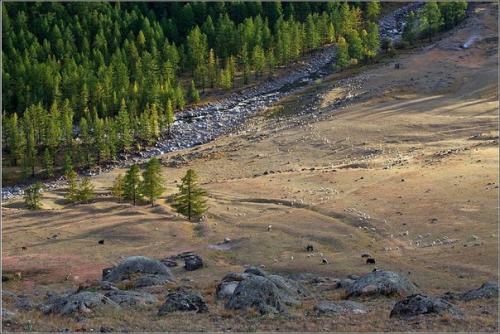 Монгун - тайга - горный массив в алтайских горах республики Тува. 06
