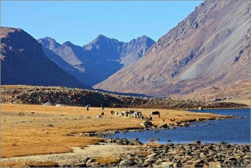 Монгун - тайга - горный массив в алтайских горах республики Тува. 01