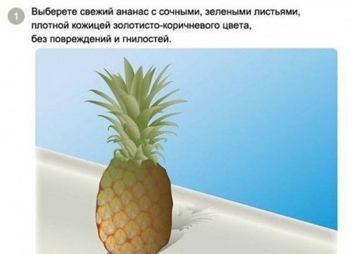 Как вырастить ананас в домашних условиях?