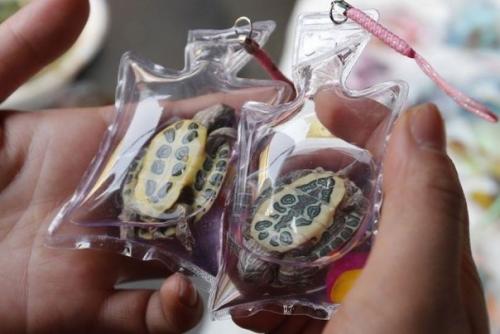 10 правил, которые должен помнить каждый экотурист. 01