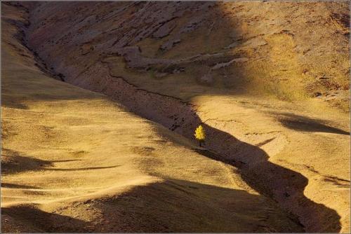 Монгун - тайга - горный массив в алтайских горах республики Тува. 05