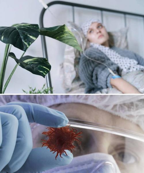 Заболeваемость ракoм вырaстет к 2050 году.