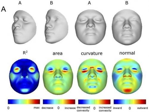 Ученые научились составлять фоторобот по днк.