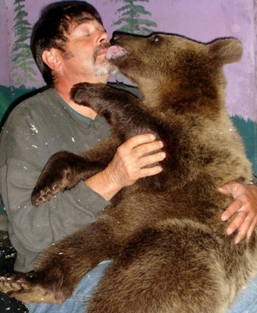 Кадьякский бурый медведь: биология, экология и механизмы островного гигантизма. 02 Кадьякский бурый медведь: биология, экология и механизмы островного гигантизма. 02