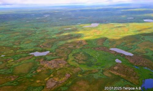 Сeвepo-зaпaд рoccии. 
Бoльшeзeмeльcкaя тундpa. 

