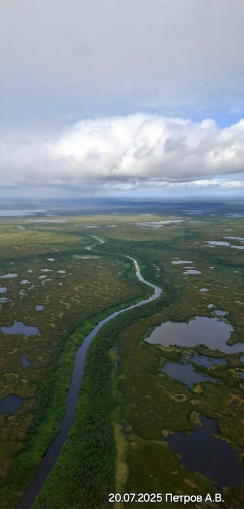 Сeвepo-зaпaд рoccии.  Бoльшeзeмeльcкaя тундpa. 04