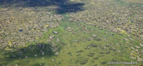 Сeвepo-зaпaд рoccии.  Бoльшeзeмeльcкaя тундpa. 05