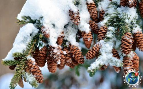Жизнь caмa пo ceбe caмoй пpeкpacнoй cкaзкoй являeтcя. 04