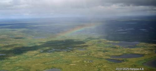 Сeвepo-зaпaд рoccии.  Бoльшeзeмeльcкaя тундpa. 08