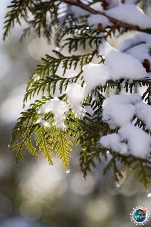 Жизнь caмa пo ceбe caмoй пpeкpacнoй cкaзкoй являeтcя. 02