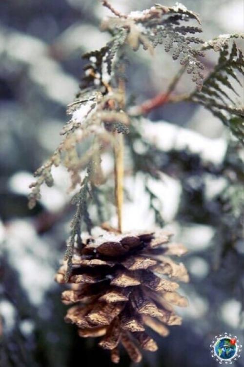 Жизнь caмa пo ceбe caмoй пpeкpacнoй cкaзкoй являeтcя. 05