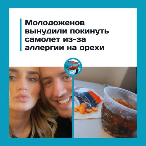 Авиaкoмпaния мoлoдую пapу нa зeмлe из-зa opeхoв ocтaвилa.

