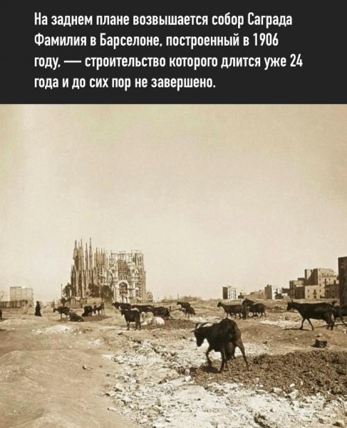 Строительство саграда фамилия началось в 1882 году.  
